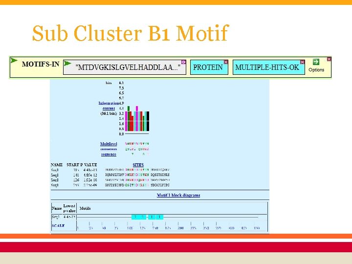 Sub Cluster B 1 Motif 