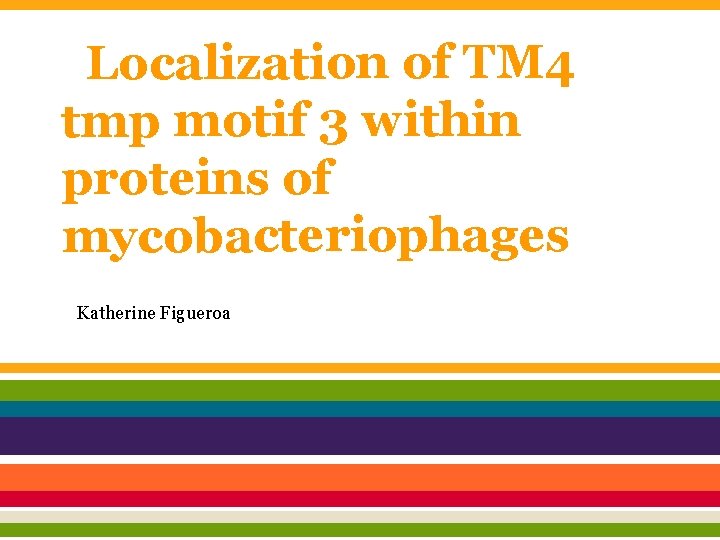 Localization of TM 4 tmp motif 3 within proteins of mycobacteriophages Katherine Figueroa 