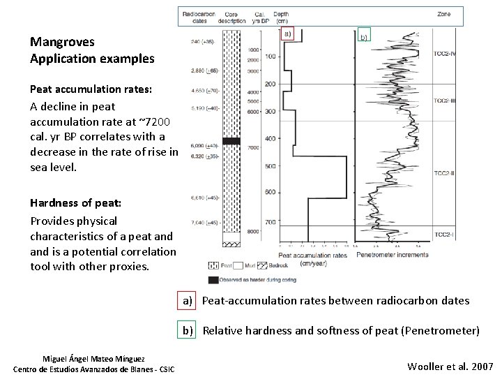 Mangroves Application examples Peat accumulation rates: A decline in peat accumulation rate at ~7200