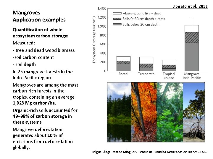 Mangroves Application examples Quantification of wholeecosystem carbon storage: Measured: - tree and dead wood