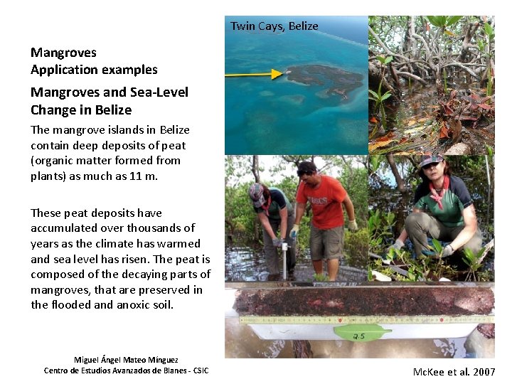 Twin Cays, Belize Mangroves Application examples Mangroves and Sea-Level Change in Belize The mangrove