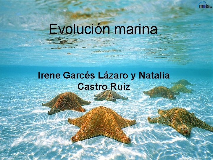 Evolución marina Irene Garcés Lázaro y Natalia Castro Ruiz Evolución marina Irene Garcés Lázaro y Natalia Castro Ruiz