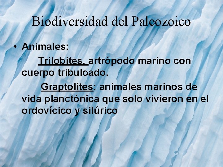 Biodiversidad del Paleozoico • Animales: Trilobites, artrópodo marino con cuerpo tribuloado. Graptolites: animales marinos Biodiversidad del Paleozoico • Animales: Trilobites, artrópodo marino con cuerpo tribuloado. Graptolites: animales marinos