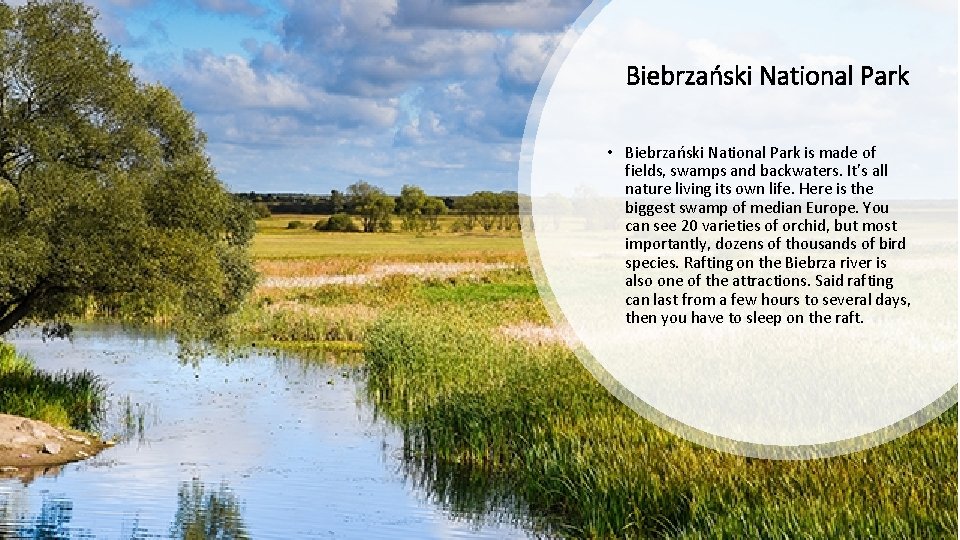 Biebrzański National Park • Biebrzański National Park is made of fields, swamps and backwaters.