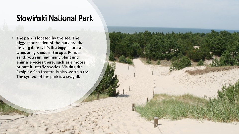 Słowiński National Park • The park is located by the sea. The biggest attraction