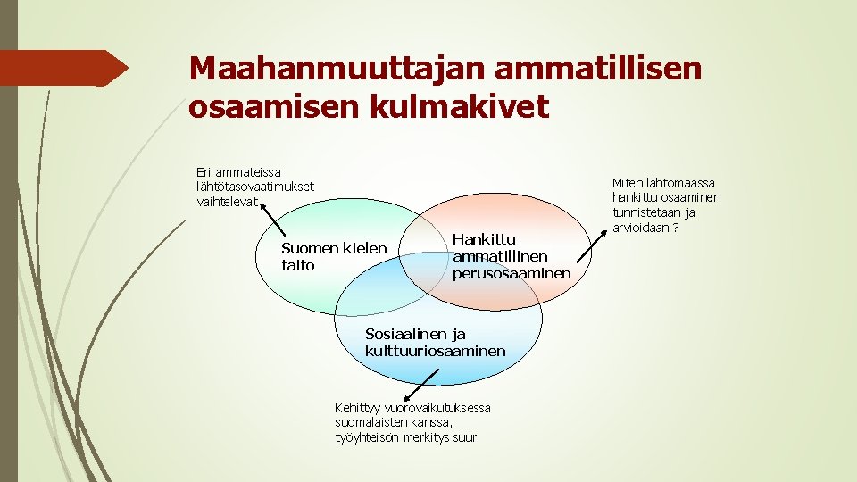 Maahanmuuttajan ammatillisen osaamisen kulmakivet Eri ammateissa lähtötasovaatimukset vaihtelevat Suomen kielen taito Hankittu ammatillinen perusosaaminen