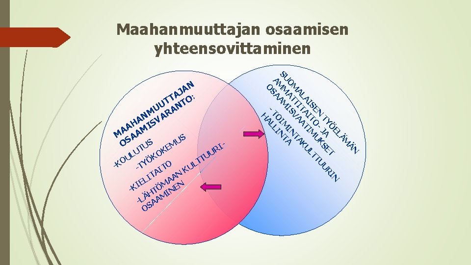 Maahanmuuttajan osaamisen yhteensovittaminen T RI K U U KO UL TU Ö O T