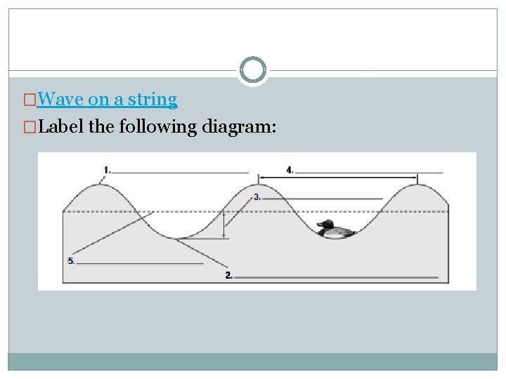 �Wave on a string �Label the following diagram: 