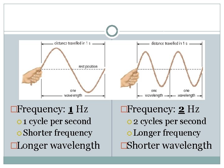 �Frequency: 1 Hz 1 cycle per second Shorter frequency �Longer wavelength �Frequency: 2 Hz