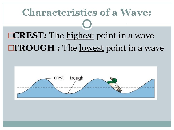 Characteristics of a Wave: �CREST: The highest point in a wave �TROUGH : The