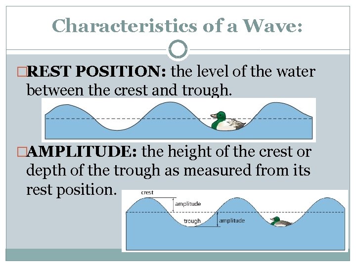 Characteristics of a Wave: �REST POSITION: the level of the water between the crest