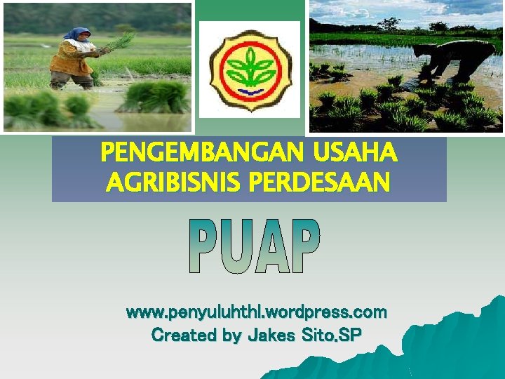 PENGEMBANGAN USAHA AGRIBISNIS PERDESAAN www. penyuluhthl. wordpress. com Created by Jakes Sito. SP 