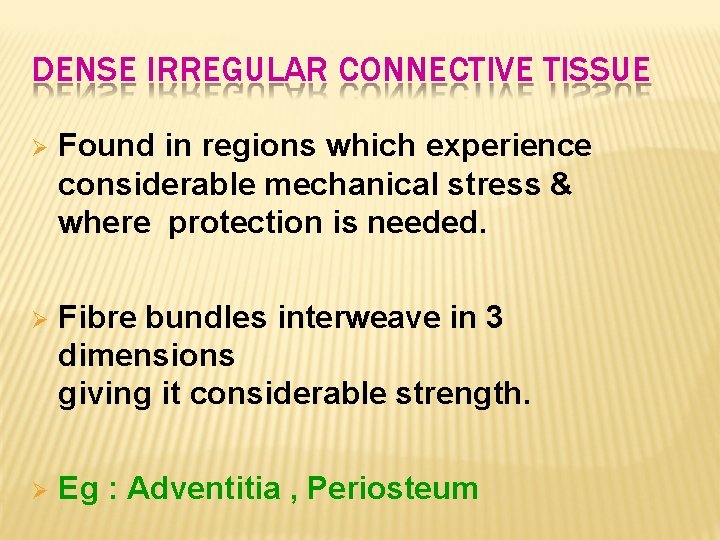 DENSE IRREGULAR CONNECTIVE TISSUE Found in regions which experience considerable mechanical stress & where