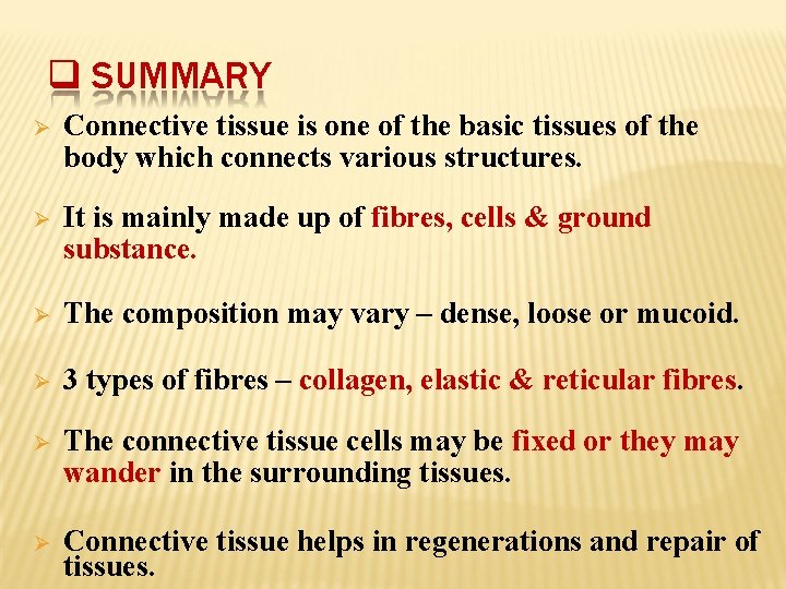  SUMMARY Connective tissue is one of the basic tissues of the body which