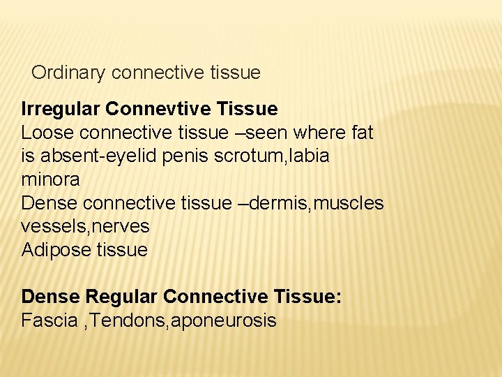 Ordinary connective tissue Irregular Connevtive Tissue Loose connective tissue –seen where fat is absent-eyelid