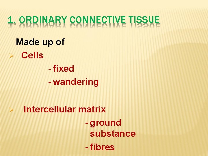 1. ORDINARY CONNECTIVE TISSUE Made up of Cells - fixed - wandering Intercellular matrix