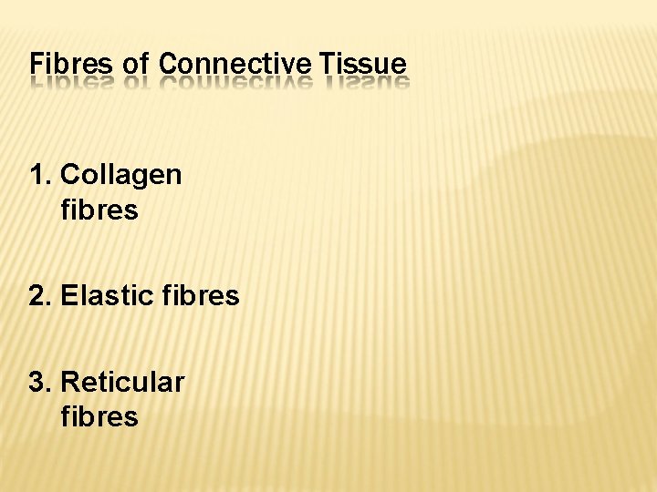 Fibres of Connective Tissue 1. Collagen fibres 2. Elastic fibres 3. Reticular fibres 