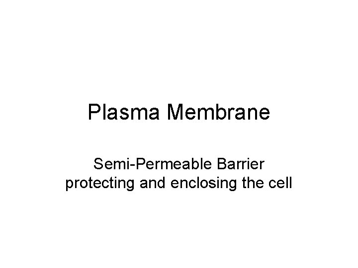 Plasma Membrane Semi-Permeable Barrier protecting and enclosing the cell 