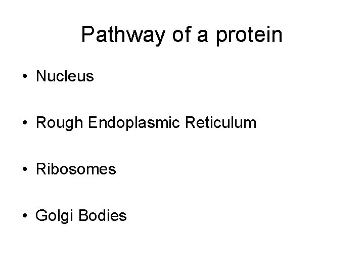 Pathway of a protein • Nucleus • Rough Endoplasmic Reticulum • Ribosomes • Golgi