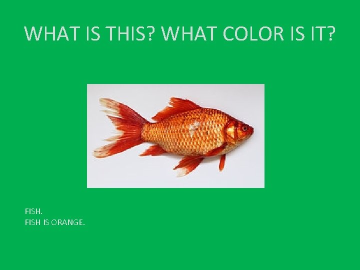 WHAT IS THIS? WHAT COLOR IS IT? FISH IS ORANGE. 