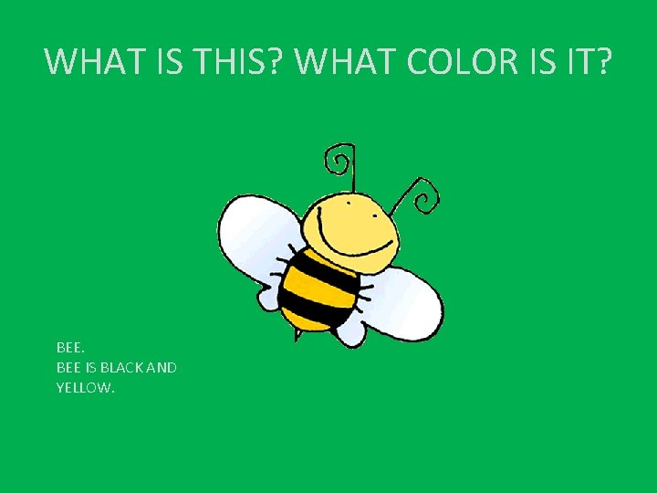 WHAT IS THIS? WHAT COLOR IS IT? BEE IS BLACK AND YELLOW. 