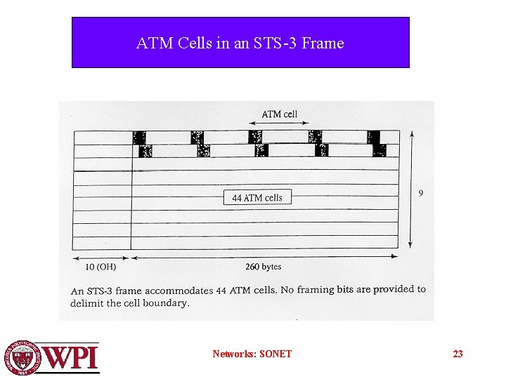 ATM Cells in an STS-3 Frame Networks: SONET 23 