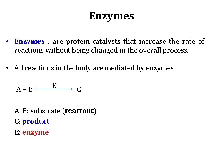 Enzymes • Enzymes : are protein catalysts that increase the rate of reactions without