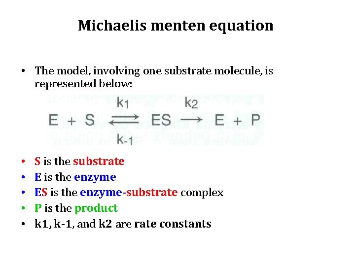 Michaelis menten equation • The model, involving one substrate molecule, is represented below: •