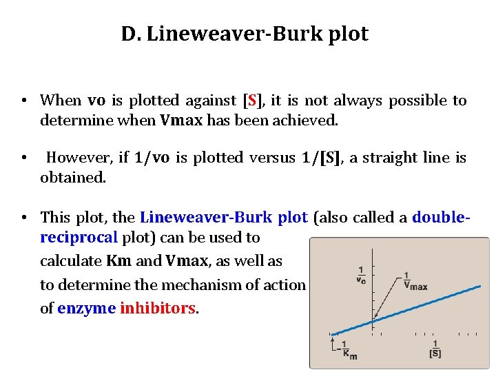 D. Lineweaver-Burk plot • When vo is plotted against [S], it is not always