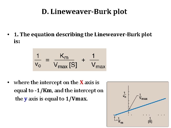 D. Lineweaver-Burk plot • 1. The equation describing the Lineweaver-Burk plot is: • where