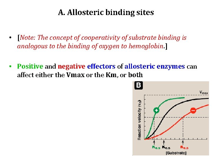 A. Allosteric binding sites • [Note: The concept of cooperativity of substrate binding is