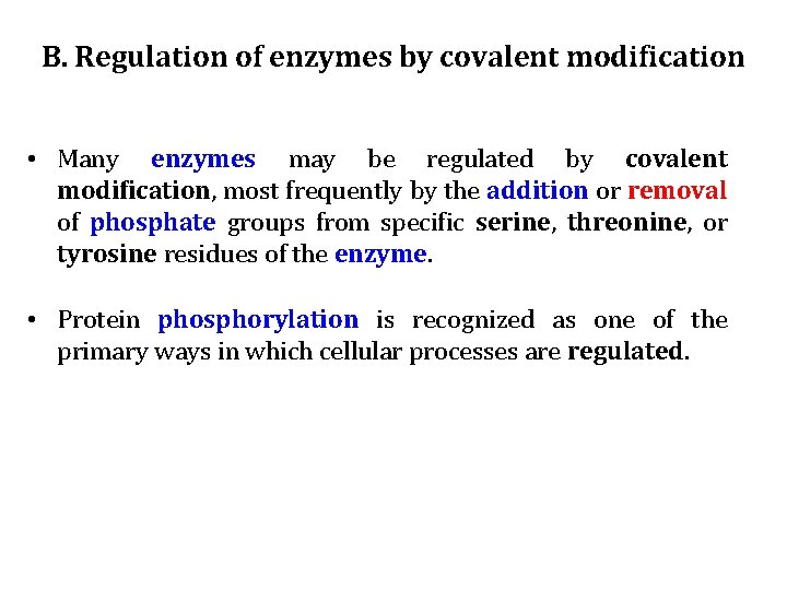 B. Regulation of enzymes by covalent modification • Many enzymes may be regulated by