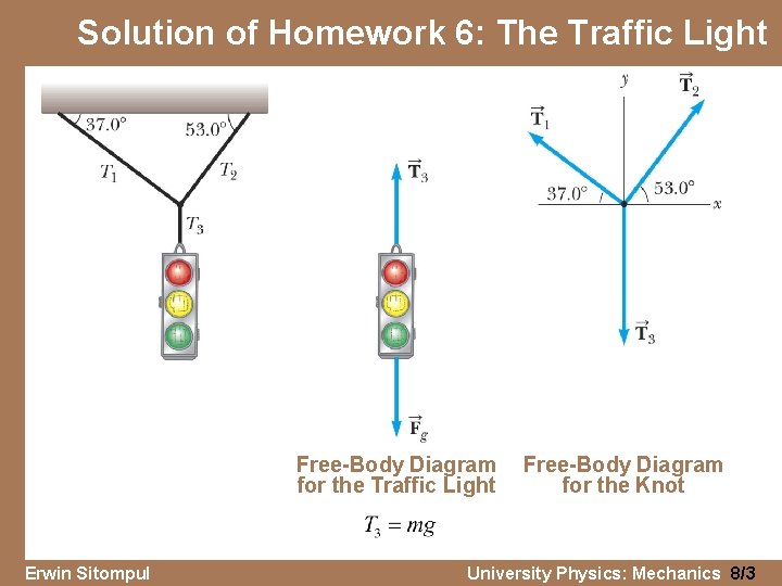 Solution of Homework 6: The Traffic Light Free-Body Diagram for the Traffic Light Erwin