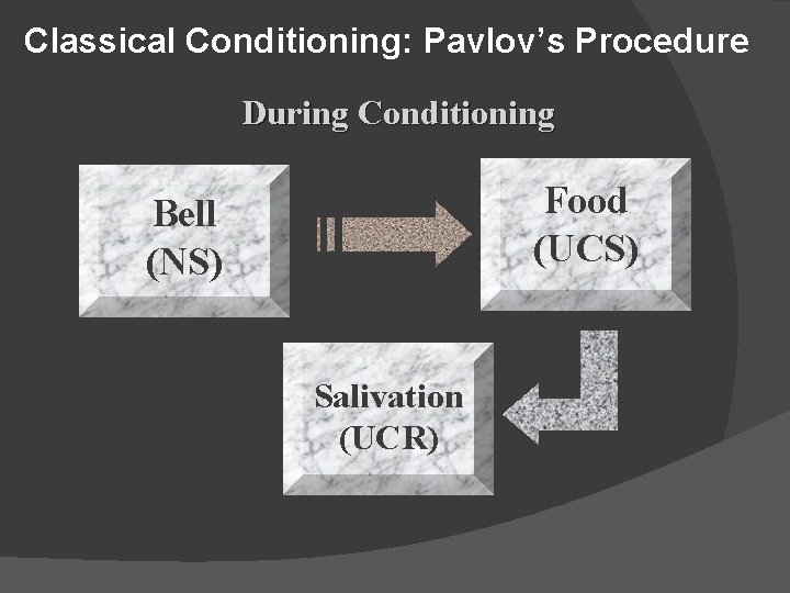 Classical Conditioning: Pavlov’s Procedure During Conditioning Food (UCS) Bell (NS) Salivation (UCR) 