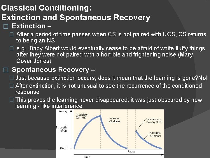 Classical Conditioning: Extinction and Spontaneous Recovery � Extinction – � After a period of
