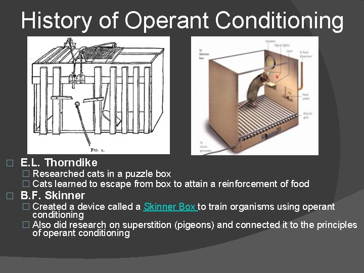 History of Operant Conditioning � E. L. Thorndike � Researched cats in a puzzle