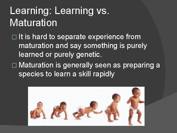 Learning: Learning vs. Maturation � It is hard to separate experience from maturation and