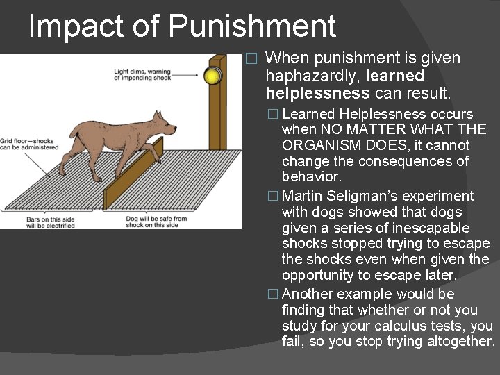 Impact of Punishment � When punishment is given haphazardly, learned helplessness can result. �