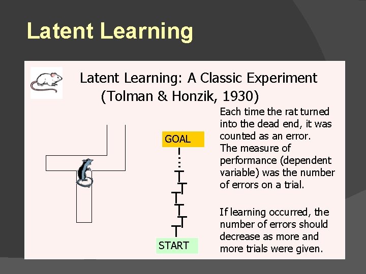 Latent Learning: A Classic Experiment (Tolman & Honzik, 1930) GOAL . . . i