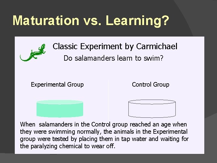 Maturation vs. Learning? Classic Experiment by by Carmichael Do Do salamanders learn to to