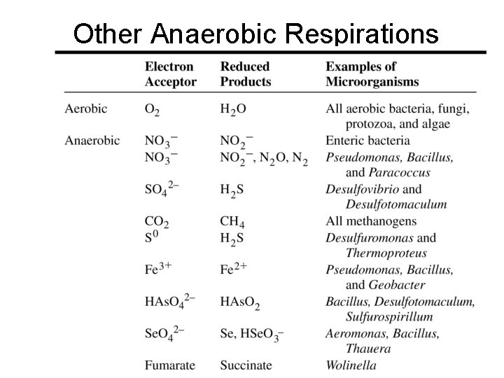 Other Anaerobic Respirations 