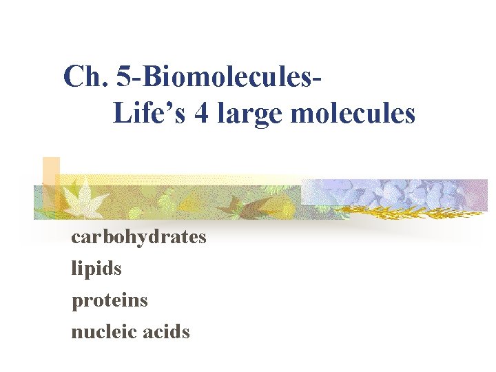 Ch. 5 -Biomolecules. Life’s 4 large molecules carbohydrates lipids proteins nucleic acids 