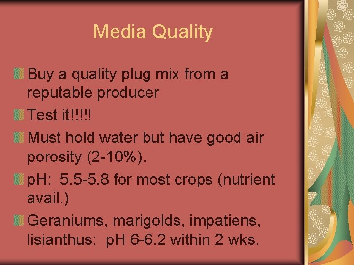 Media Quality Buy a quality plug mix from a reputable producer Test it!!!!! Must