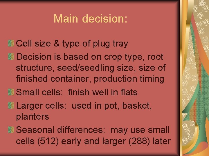 Main decision: Cell size & type of plug tray Decision is based on crop