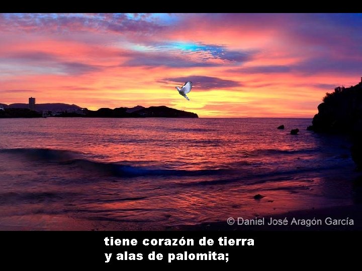 tiene corazón de tierra y alas de palomita; 