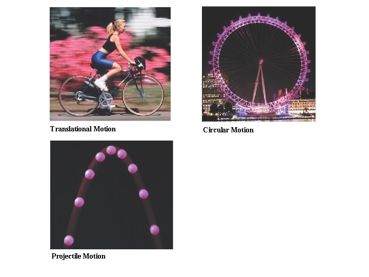 Translational Motion Projectile Motion Circular Motion 
