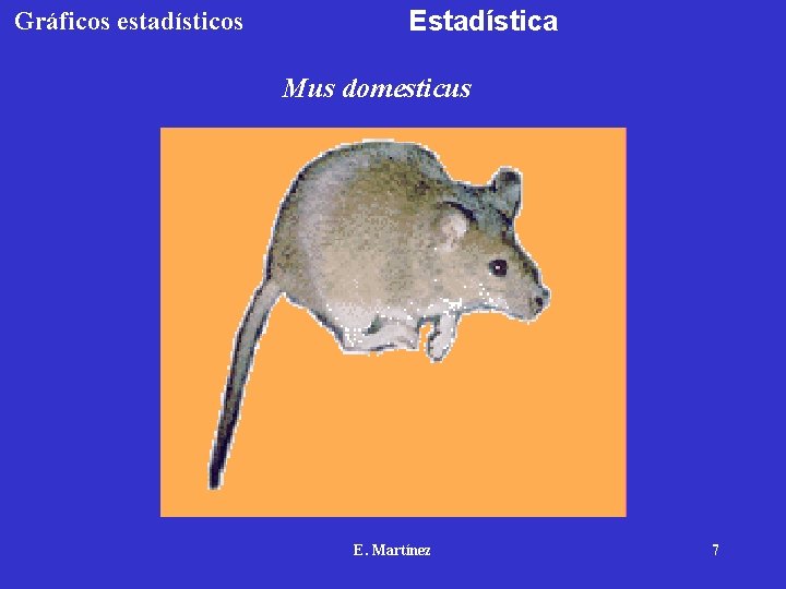 Gráficos estadísticos Estadística Mus domesticus E. Martínez 7 