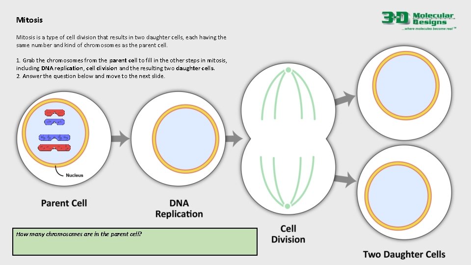 Mitosis is a type of cell division that results in two daughter cells, each