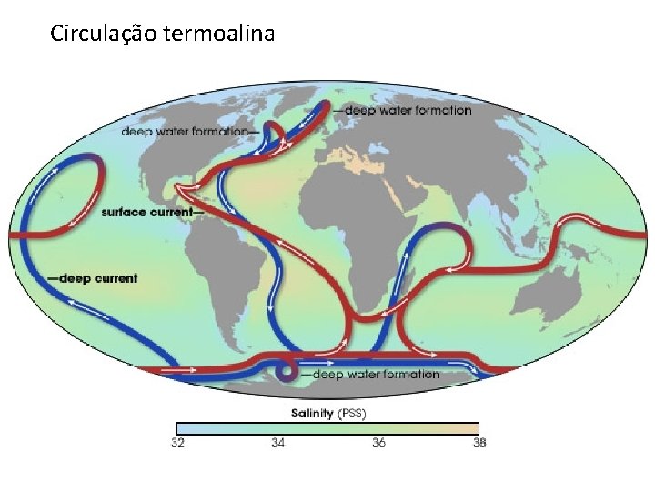 Circulação termoalina 