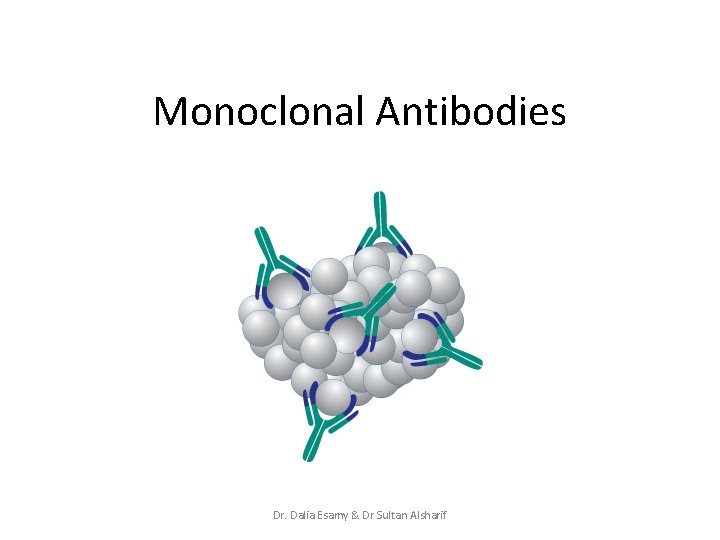 Monoclonal Antibodies Dr. Dalia Esamy & Dr Sultan Alsharif 